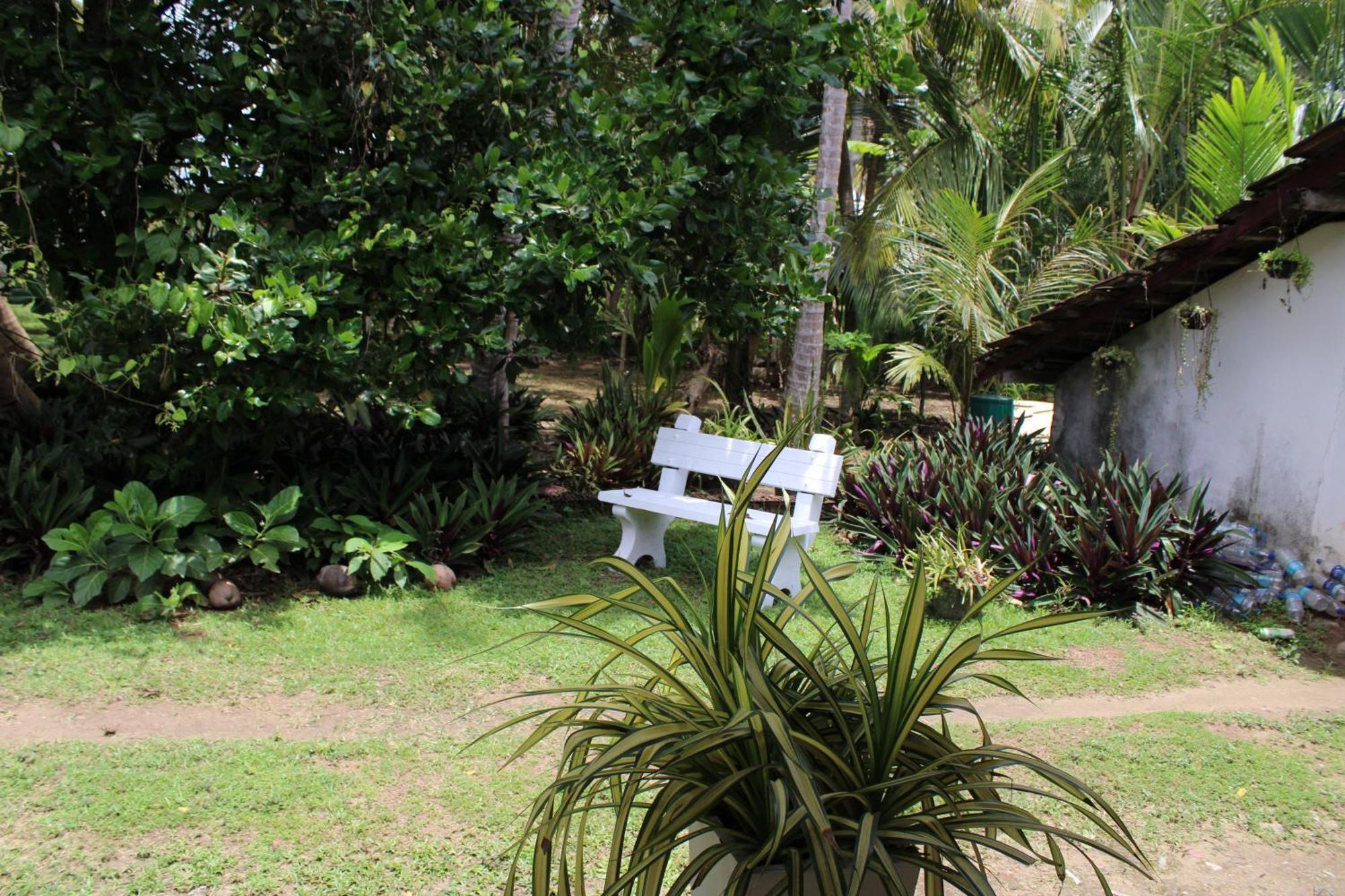 Sun And Surf Rest Hotell Ahangama Exteriör bild