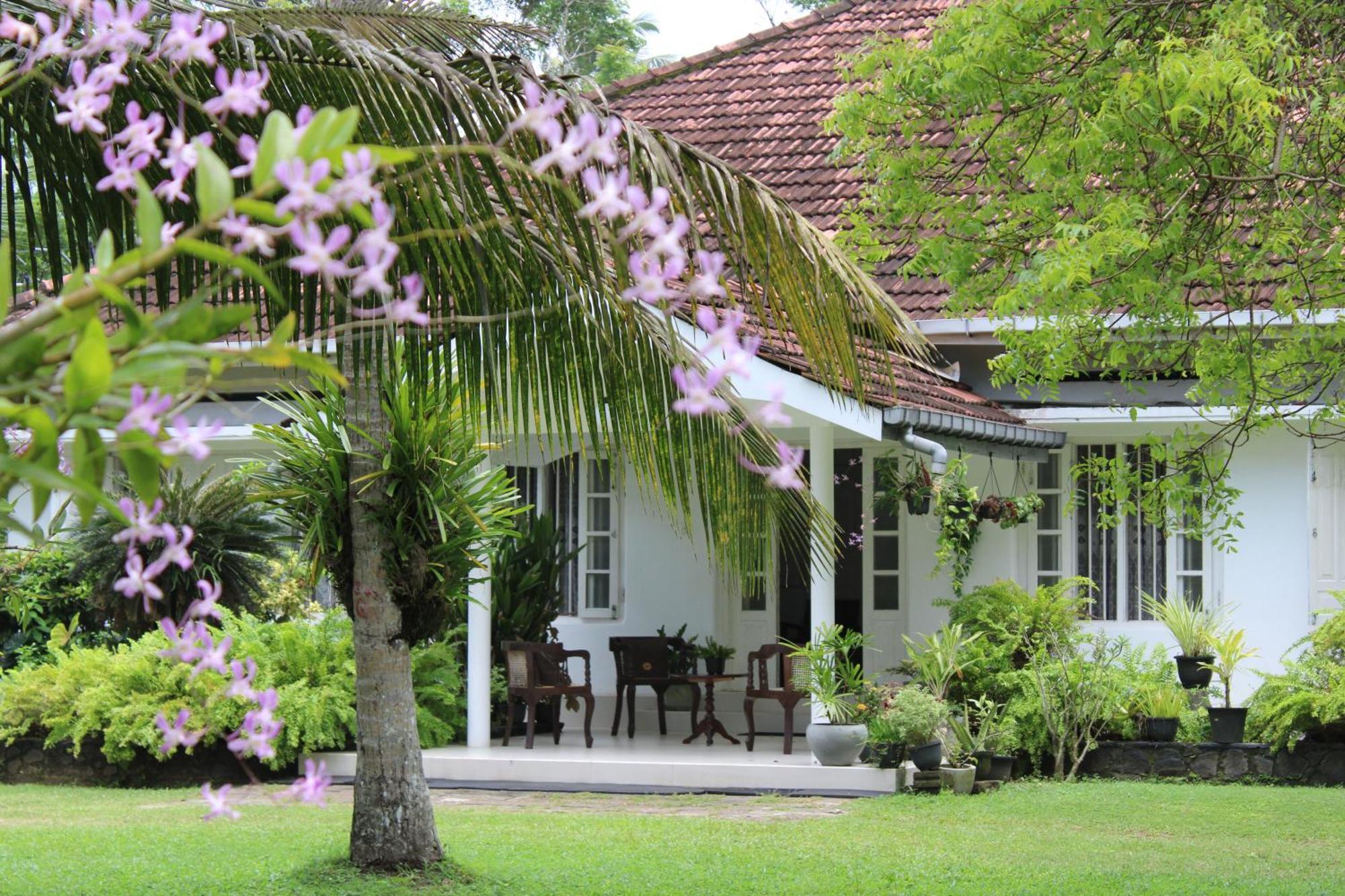 Sun And Surf Rest Hotell Ahangama Exteriör bild