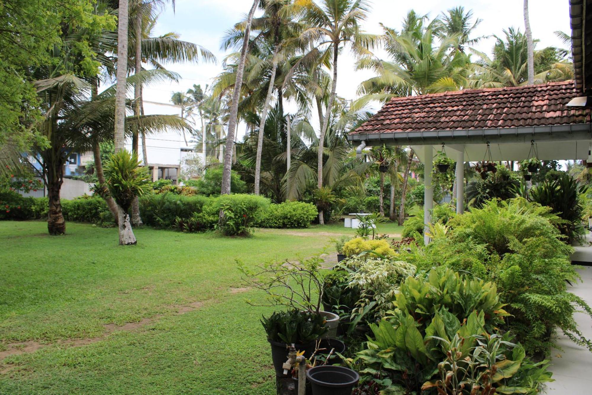 Sun And Surf Rest Hotell Ahangama Exteriör bild