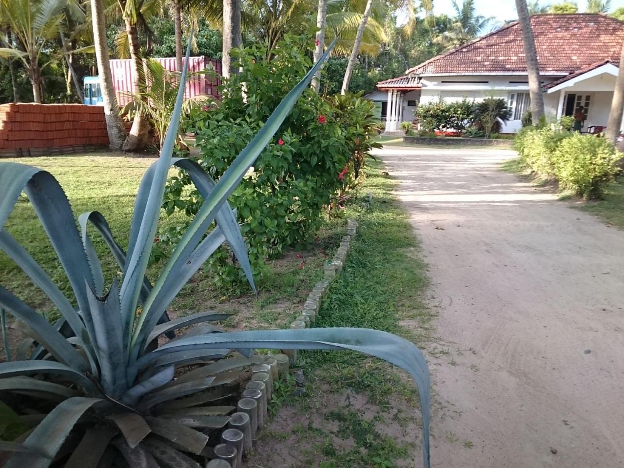 Sun And Surf Rest Hotell Ahangama Exteriör bild
