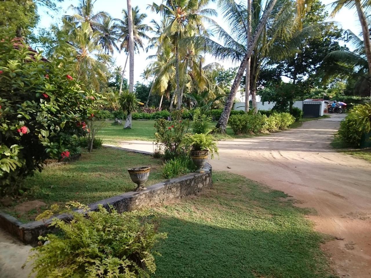 Sun And Surf Rest Hotell Ahangama Exteriör bild